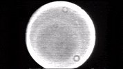 space planet GIF by NASA