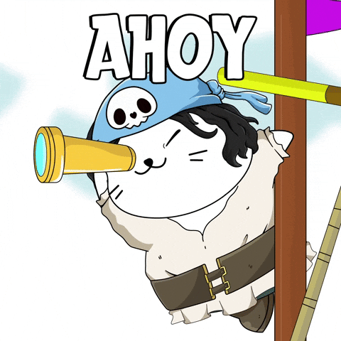 Aye Aye Pirate GIF by Lil Sappys