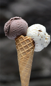 Cafe_Bar_Wunderland eis wunderland GIF
