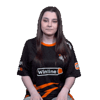 The Bears Esports Sticker by Virtus.pro