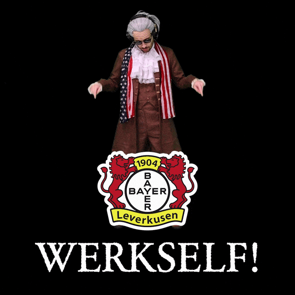 Bayer 04 Bundesliga GIF