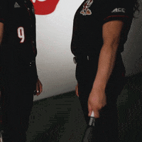 University Of Louisville Softball GIF by Louisville Cardinals