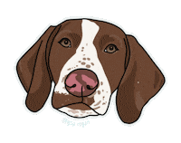 Lumberjack Gsp Sticker