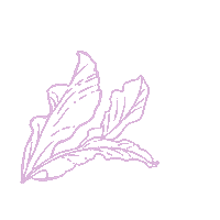 Bakuchiol Sticker by Indoganic Official
