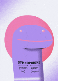Ssaft GIF