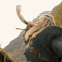 Thor Vikings GIF by THE BEARD STRUGGLE