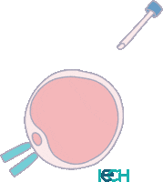 Clinica Biopsia Sticker by IECH