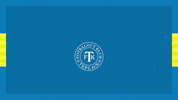Gol GIF by FK Teplice