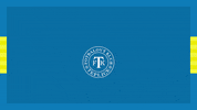Gol GIF by FK Teplice