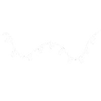 White Lights Sticker
