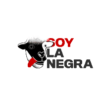 Cervezas1906  Sticker