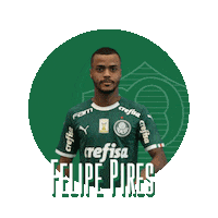 celebrating felipe pires Sticker by SE Palmeiras