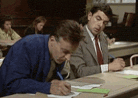BengalBeats giphyupload GIF