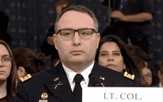 news impeachment impeachment inquiry testimony alexander vindman GIF