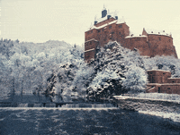 wes anderson film GIF by Tech Noir