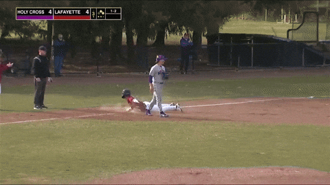 Baseball Roll Pards GIF by Lafayette Leopards