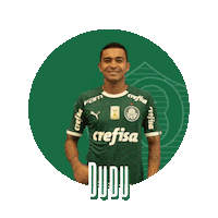 soccer hat Sticker by SE Palmeiras