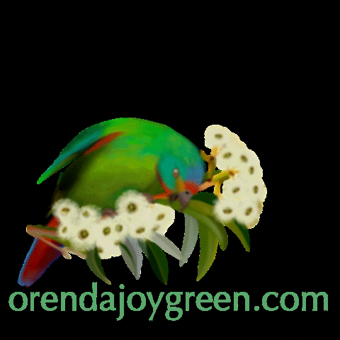 orendajoygreen giphygifmaker flowers bird tree GIF