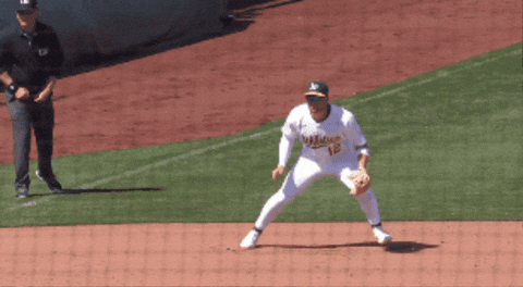 leo-morgenstern giphygifmaker GIF