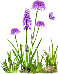 grass STICKER