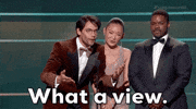 Screen Actors Guild Nice View GIF by Actor Awards
