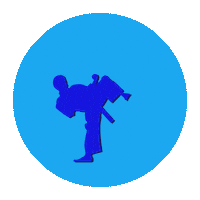 blackbeltinsales blackbelt blackbeltinsales amazoncoach leoblackbelt Sticker