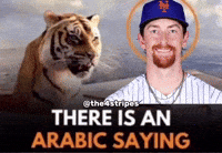 New York Mets Baseball GIF
