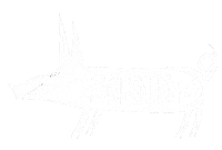 pet love Sticker by sophiewetterich