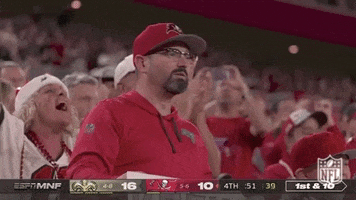 Tampa Bay Buccaneers Football GIF by NFL