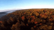 ohio GIF