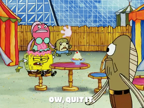 season 5 episode 6 GIF by SpongeBob SquarePants