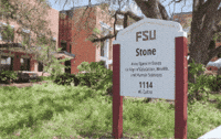 Florida State Stone GIF
