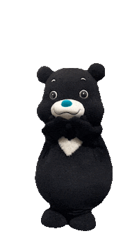 Bravo_Taipei 讚讚 熊讚 taipeibravo bravobear Sticker