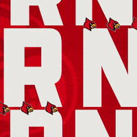 Go Cards GIF by Louisville Cardinals