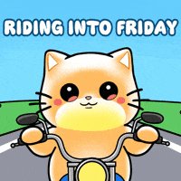 Cat Friday GIF by Mochimons