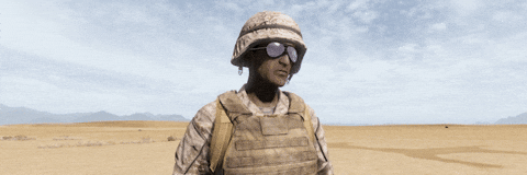 Dayz GIF