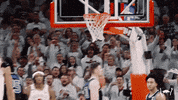College Basketball GIF by Arkansas Razorbacks