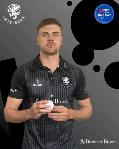 Ball Bb GIF by Somerset County Cricket Club