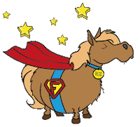 Stars Horse Sticker by Soulhorse.de