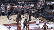 Womens Basketball Wnba GIF by Basketfem