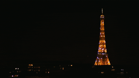 France Tennis GIF by Roland-Garros
