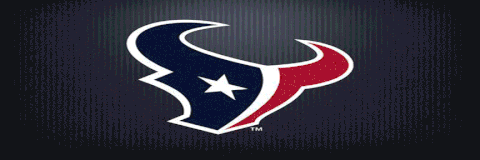 texans GIF
