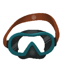 bracenet dive diving googles fishing net Sticker