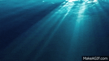 underwater GIF