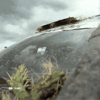 Sports Car Cactus GIF by FIA World Rally Championship