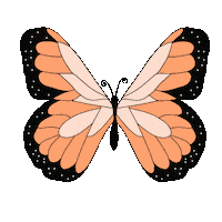 Colors Orange Sticker