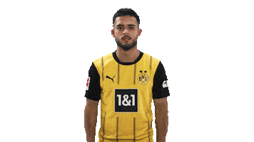 Borussia Dortmund Wink Sticker by Bundesliga