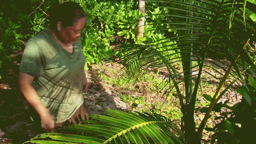 Genie Looking GIF by Survivor CBS