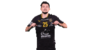 Celebration Handball Sticker by Team Chambé