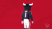 Nfl Mascot GIF by Houston Texans